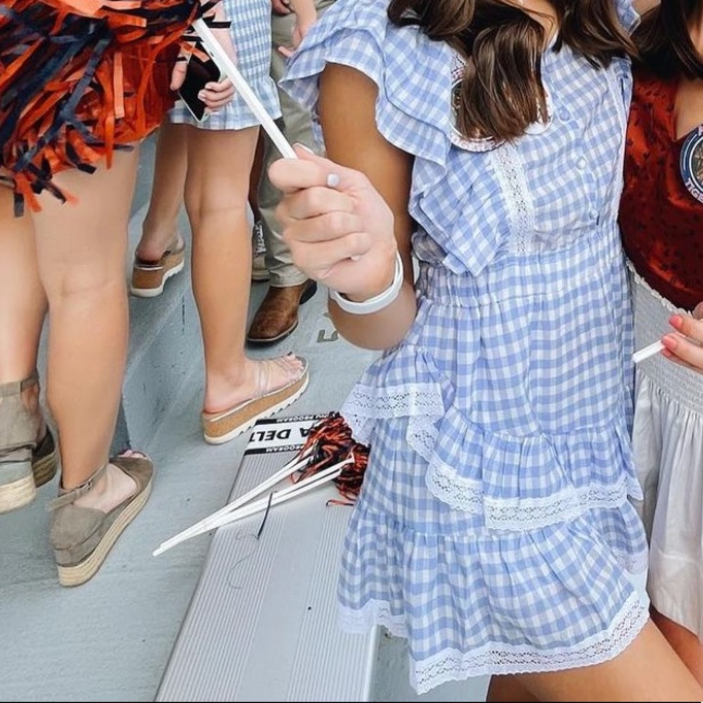 NWT Ijusthavetohaveit Blue Gingham Dress